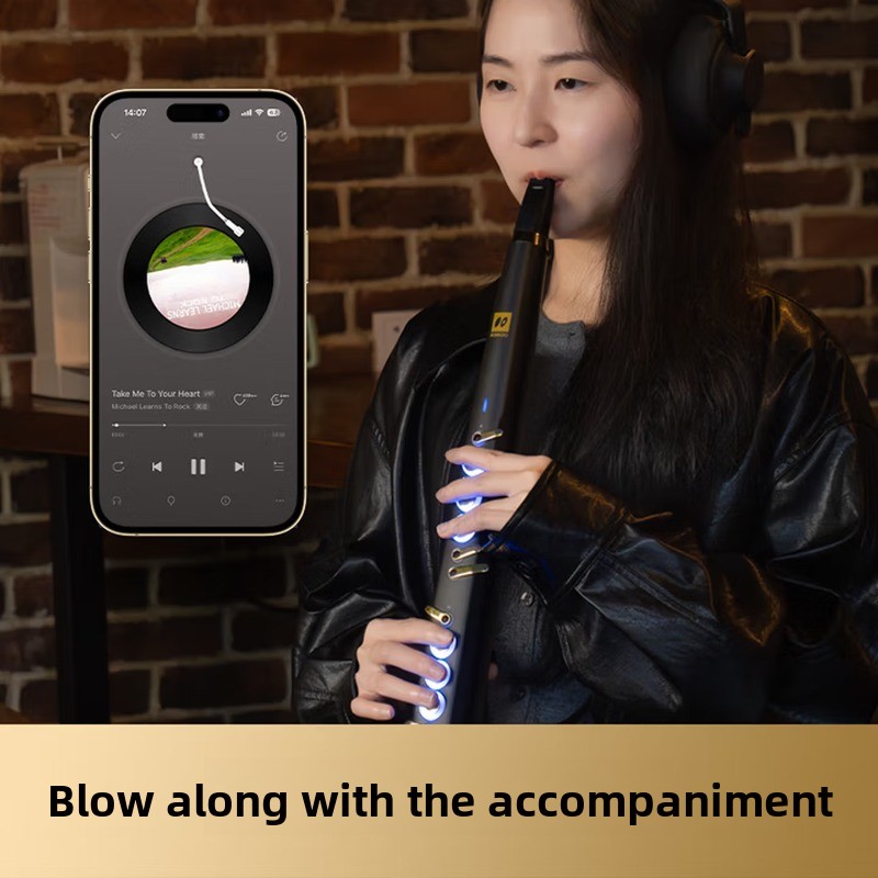 C20 gerçek örneklemeli yerli ü - Musical Instrument That You Blow Into incelemesi ve fiyatı