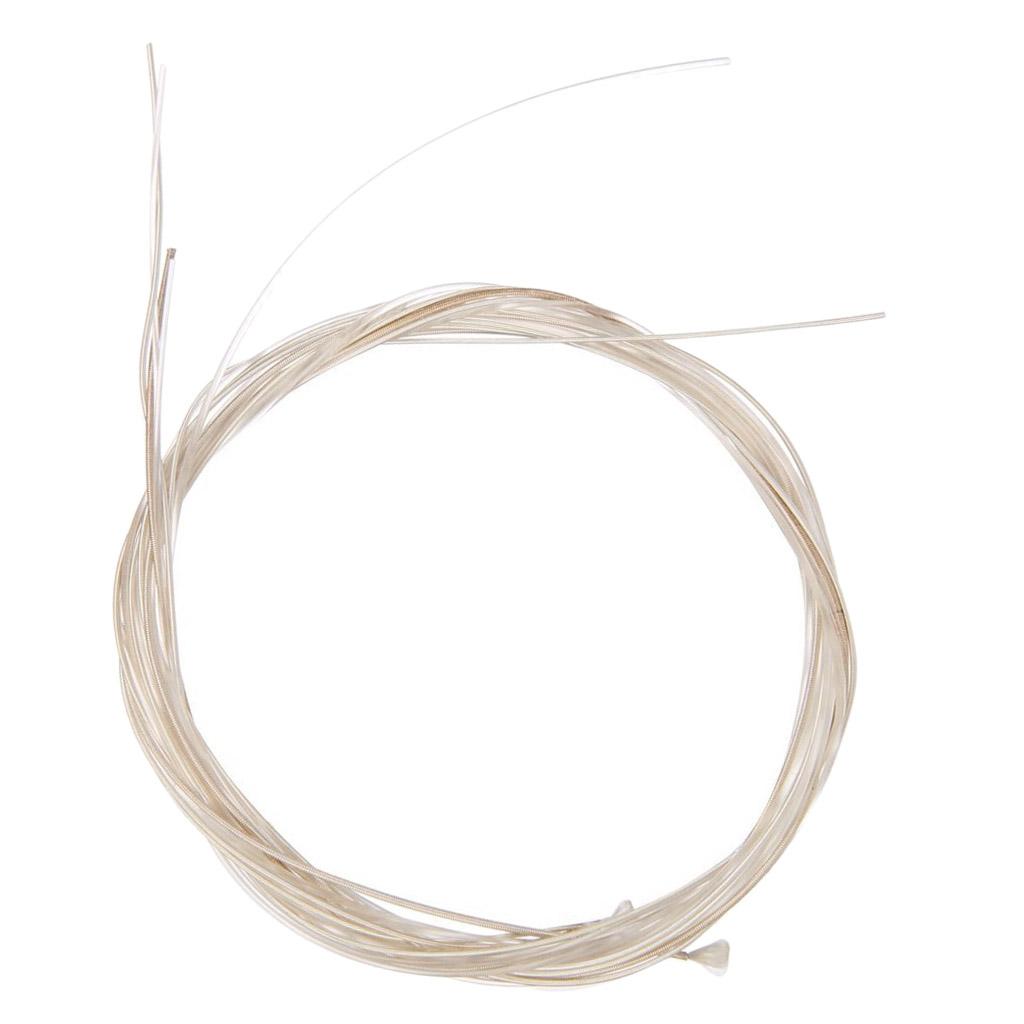 Klasik Gitar Telleri Naylon Te - Classical Guitar Nylon incelemesi ve fiyatı